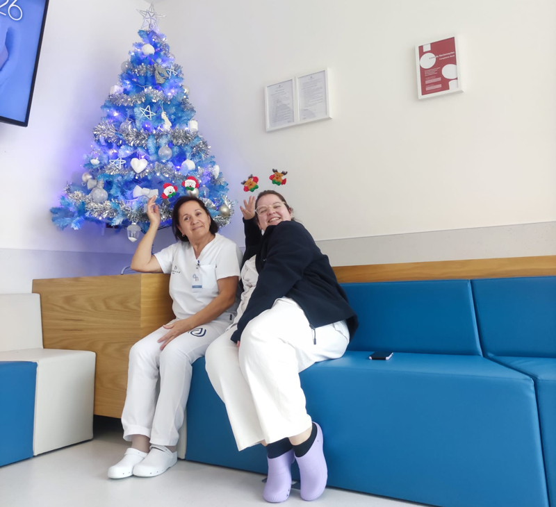 Decorações de Natal Nefrovida