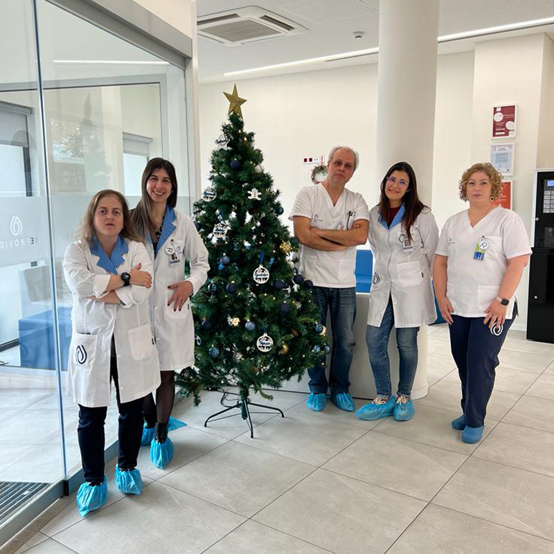 Decorações de Natal Nefrovida