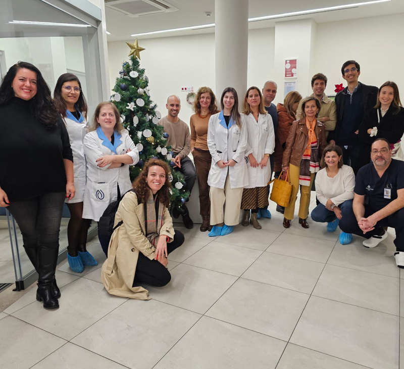 Decorações de Natal Nefrovida