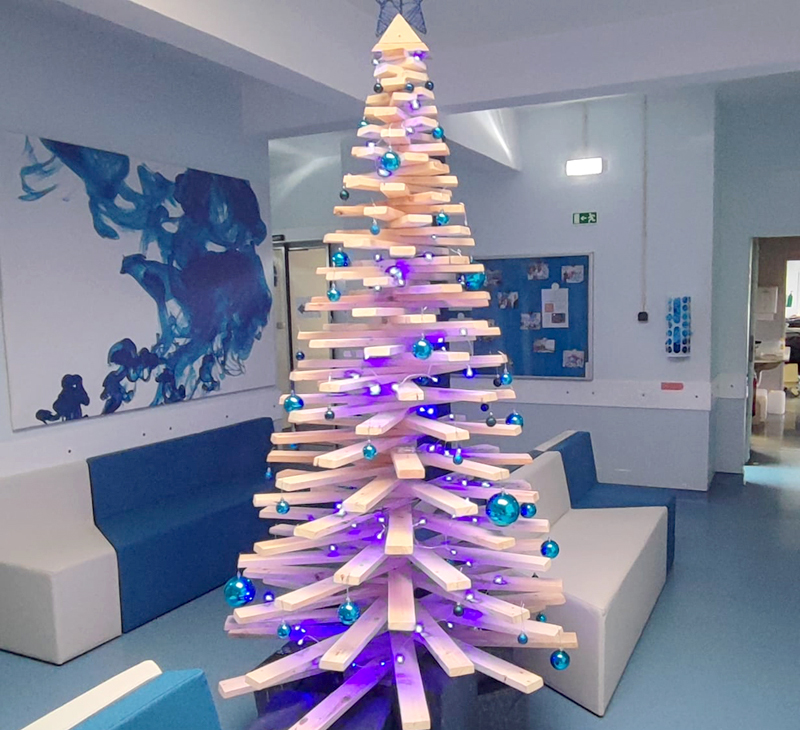 Decorações de Natal Nefrovida