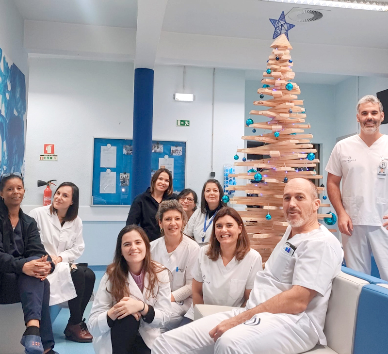 Decorações de Natal Nefrovida